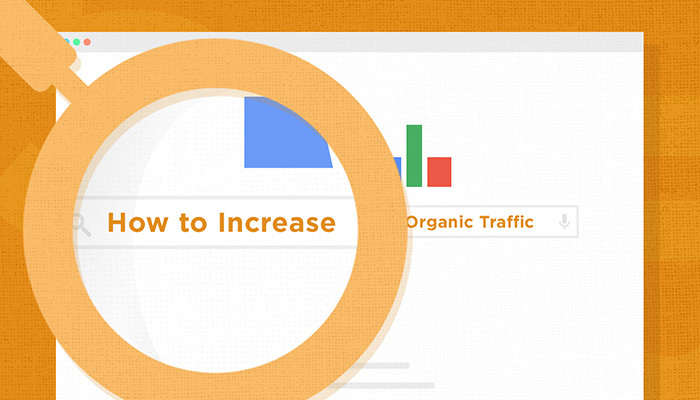 15 SEO Tips to Increase Organic Traffic to Your Website