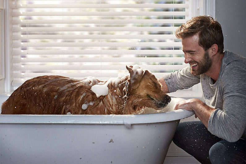 levolor-man-and-dog