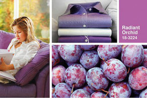 Hot New Pantone for 2014: Radiant Orchid